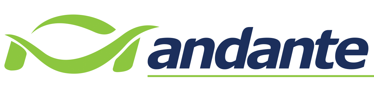 Andante